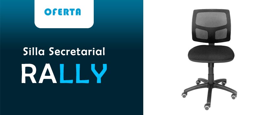 Silla Ergonomica Rally