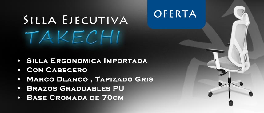 Silla Ergonomica Importada
