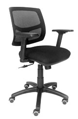 Silla Ergonomica Rally